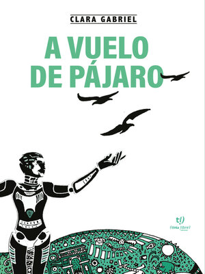 cover image of A vuelo de pájaro